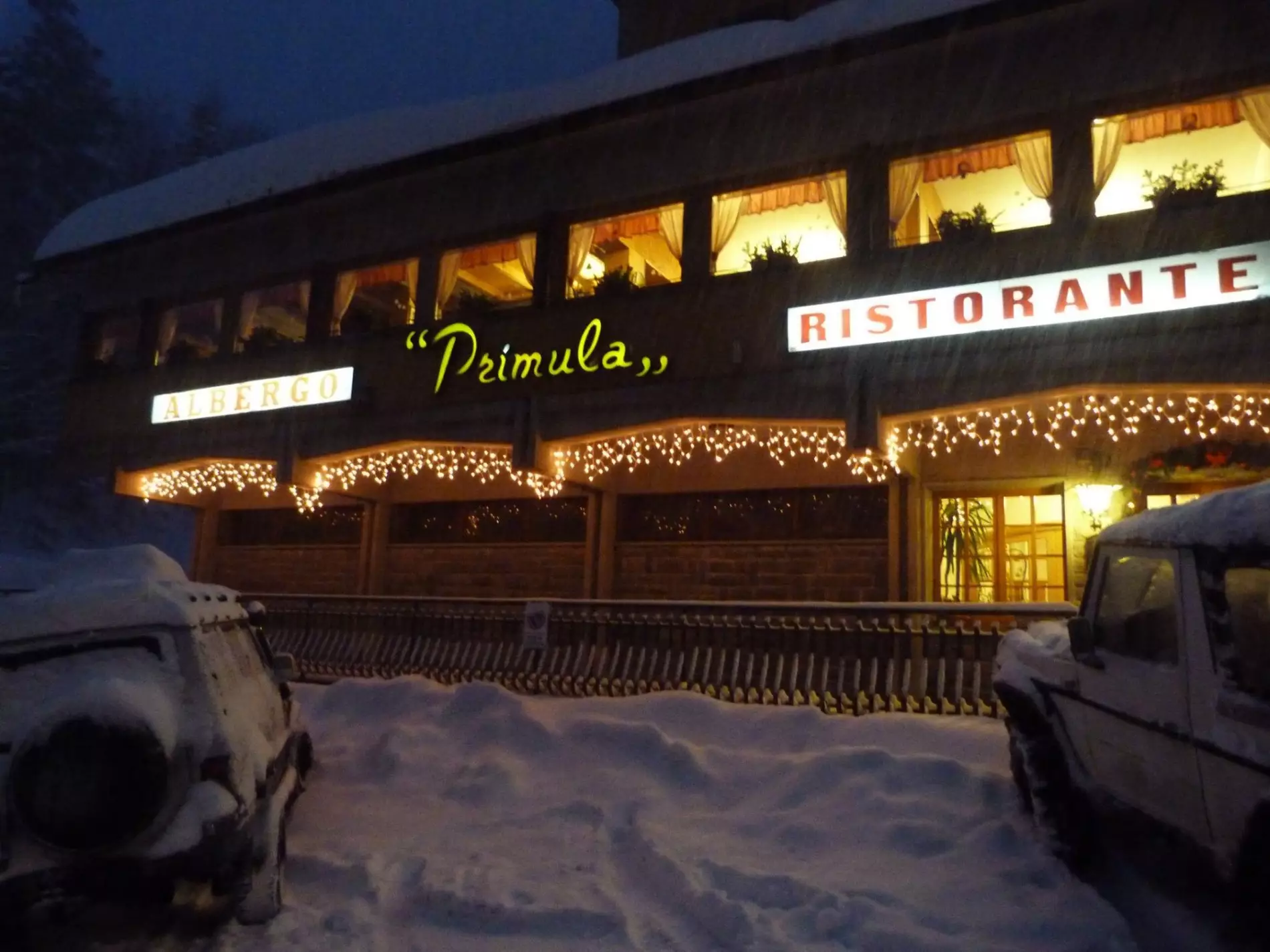 Primula ristorante